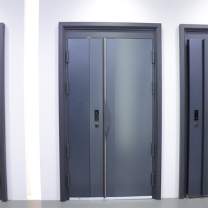 Residential Steel Security Double Doors: Ultimate Protection
