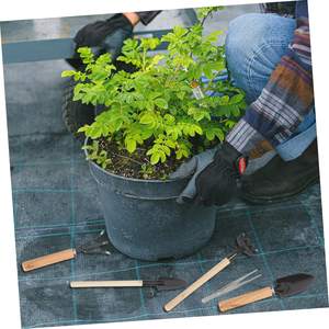 Succulent 10 Pcs Plante Outils Enfants Outils succulent semis élévateur sol <span class=keywords><strong>pelle</strong></span> baril <span class=keywords><strong>pelle</strong></span> plantes succulentes outils - Product Image 4