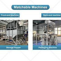 Chaîne de production commerciale ORME pour frites surgelées 100 kg/h, machine à fabriquer des chips de pommes de terre croustillantes