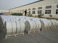 IEC60502 0,6/1KV cubierta de plomo PVC/XLPE aislamiento cubierta de PVC cable de alimentación de armadura de alambre de acero a IEC60332