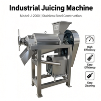Industriële hoogproductieve fruitverwerkingsinstallatie sapmachine slow cold press citroenpers spiraalvormige groentepers