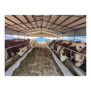 Establo para Vacas <span class=keywords><strong>Lecheras</strong></span>, Refugio para <span class=keywords><strong>Cabras</strong></span>, Alojamiento para Ganado, Establos Prefabricados para Ganado Vivos - Product Image 6