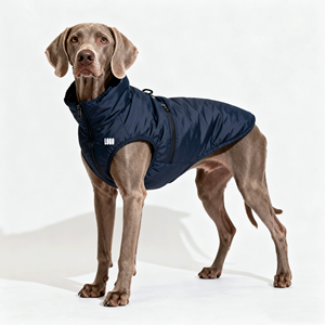 थोक शानदार वाटरप्रूफ कुत्ते वर्षाकोट जैकेट पालतू जानवरों के आउटडोर कपड़े विंडप्रूफ गर्म और कुत्ते डिजाइनर कपड़ों को स्टोर करने में आसान - Product Image 2