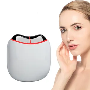 Neuestes Produkt 2024 beliebte Hautpflege-Gadget Mikrostromgerät Mikrostrom-Gesichtstönungsgerät Hautpflegeprodukte