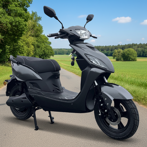 Moto électrique personnalisée à grande vitesse 45 km/h L1e-b COC pour deux passagers - Product Image 1
