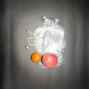 Kantong Infus Sekali Pakai Non-pvc/PVC 500ml/1000ml Larutan Terapi Normal Saline Cairan IV untuk Penggunaan Rumah Sakit Hewan - Product Image 4