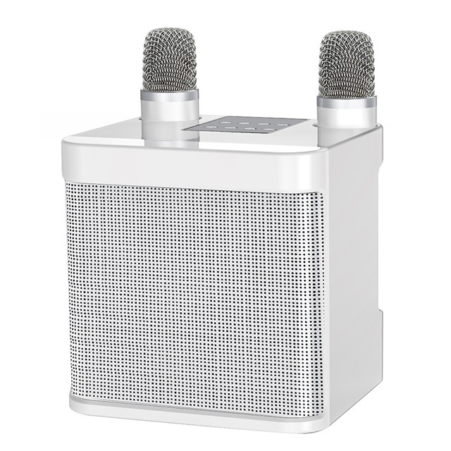Party Portable bluetooth Speaker with Mic Wireless Speakers Home Sing Karaoke Player Song