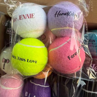 Ballon de sport personnalisé avec logo imprimé, durable, pour l'entraînement, la plage, le lancer, la pratique, en caoutchouc, pour chien