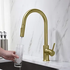 Pull Out Kitchen Faucet Stainless Steel 304 Sink Mixer Tap Deck Mounted Kitchen Sink Faucet With Pull Down Sprayer