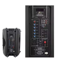 Grande puissance professionnelle BT haut-parleur extérieur chariot haut-parleur Audio Portable karaoké lecteur stéréo sons haut-parleur