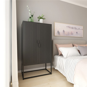 Vitrina Moderna de Hierro Bizoe para Dormitorio o Sala de Estar, Mueble con Soporte, Gabinete Metálico Elegante para el Hogar - Product Image 3