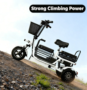Nouveau scooter électrique à double moteur 800W pour personnes âgées 2025, adultes, charge utile de 300 kg, véhicules 48V, tricycles électriques à carrosserie ouverte, <span class=keywords><strong>3</strong></span> <span class=keywords><strong>roues</strong></span> - Product Image 1