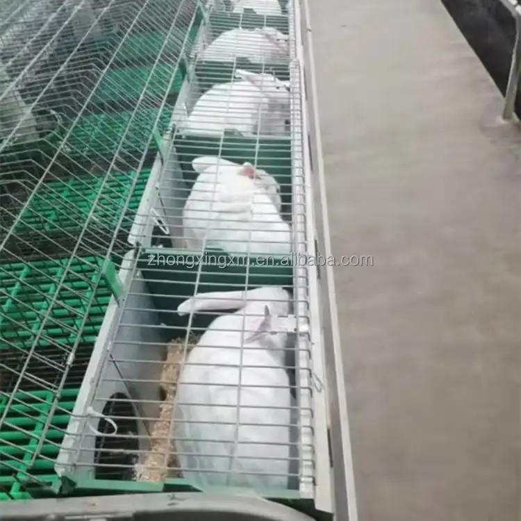 Jaula de conejo industrial para granja de conejos, venta directa de fábrica
