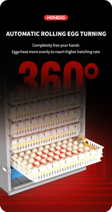 Инкубатор для яиц WONEGG, полностью автоматический, на солнечной энергии, для фермерских хозяйств, на 300 яиц, с датчиком, цена в Зимбабве - Product Image 3