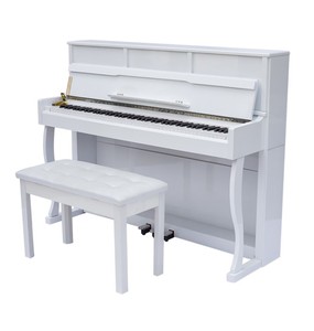 Beisite B-99 Upright 88-Key Hammer Action Digital Piano with for Audio/MIDI Wall Mount Case France Dream Sound Source - Product Image 4