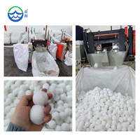 Meilleur prix pour les boules filtrantes en fibre de coton blanc et polyester pour le traitement de l'eau, efficaces pour les piscines
