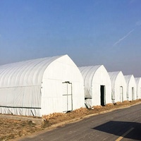 FM Murah Kualitas Tinggi Komersial Polytunnel Rumah Kaca untuk Dijual