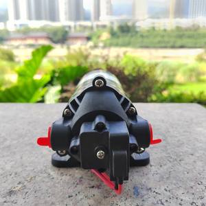 Pompe à diaphragme haute pression DP100 100 PSI, débit de 5,5 L, purificateur d'eau, pompe auto-amorçante, appareils de traitement de l'eau - Product Image 4