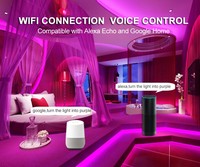 5v 12v vente en gros 5m 10m 20m 5mm rgb décoration avec contrôle sans fil contrôlé par l'application alexa tuya wifi pour tv smart led bande lumineuse