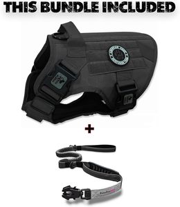 Muestra gratis al por mayor accesorios personalizados para perros Hi Vis 100% poliéster malla transpirable reflectante mascota perrito seguridad chaleco de refrigeración - Product Image 5