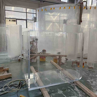 Prix de gros d'usine expédition rapide fournit de grands poissons d'aquarium chinois à vendre