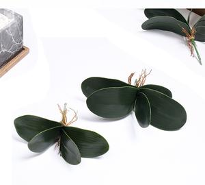 All'ingrosso vero tocco grande e piccola dimensione orchidea foglie artificiali tocco reale foglia di orchidea per il matrimonio e la decorazione della casa - Product Image 5