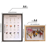 Cadre de présentation Shadow Box pour maillot de sport (basketball, football, baseball) – Décoration murale pour la maison