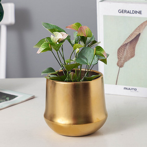 Vaso di fiori in ceramica di lusso MSH nobile vaso di <span class=keywords><strong>Cactus</strong></span> di aneto verde <span class=keywords><strong>con</strong></span> vassoio dorato tradizionale vaso da tavolo Design - Product Image 2