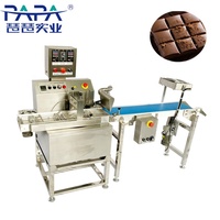 PAPA Volledig Automatische 304 RVS Chocolade Enrober Machine Transportband Koelventilator 15kg/u Nieuwe Noten Fruit Groenten Mais