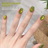 Vernis à ongles gel UV XEIJAYI vert scintillant effet œil de chat, norme européenne, sans TPO, OEM ODM, fournitures en gros pour la peinture des ongles