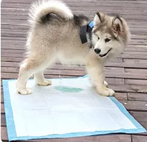 Tapis d'entraînement pour chiots jetables de haute qualité, super absorbants, en tissu non tissé doux, petite taille, fabriqués en Chine - Product Image 4
