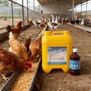 ไก่ เป็ด และห่าน ใช้สารผสมอาหารเสริมฟิโตสเตอรอล (เกรดอาหารสัตว์) เพื่อลดคอเลสเตอรอลในไข่สัตว์ปีก-ยี่ห้อ LIBON - Product Image 3