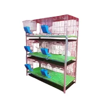 Cages d'élevage de lapins galvanisées à chaud pour animaux