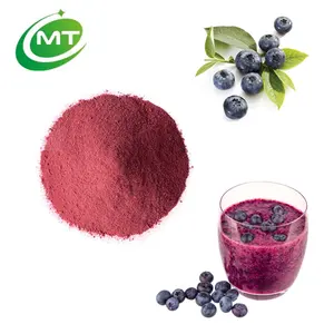 Blueberry Organic Water Soluble Vaccinium Angustifolium/V. Uliginosum Freeze Dried Blueberry Extract Powder For Smoothie And Beverage