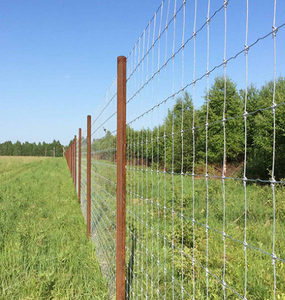 Bán Chạy nhất kinh tế đồng cỏ hàng rào Net là mạnh mẽ và hiệu quả chi phí làm cho nó một người trợ giúp tốt cho đồng cỏ chăn thả. - Product Image 2