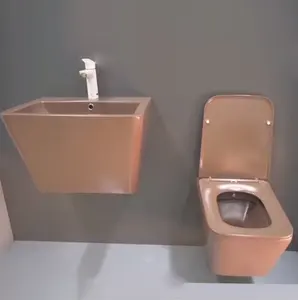 Lüks sıhhi tek parça tuvalet klozet banyo combo suite duvar asmak banyo mode din mermer fayans çiftlik mobilya lavabo