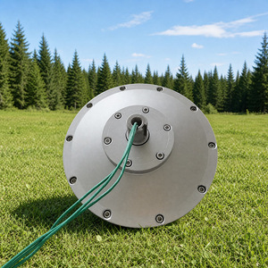 Generador de Disco de Flujo Axial sin Núcleo de 1KW al Mejor Precio para Energía Eólica Vertical - Product Image 3