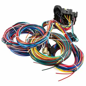 Universal Extra Long Wires 21 Circuit Auto Wire Harness Hotrod Fit for GM Chevy