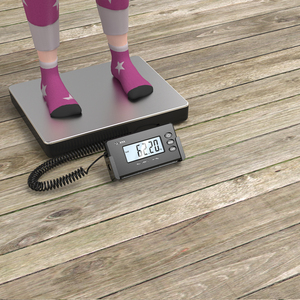 Bilancia Postale Digitale SF-808 con Ampio Display LCD - Product Image 3