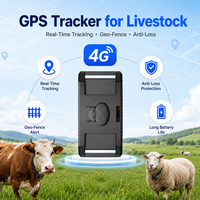 Traceur GPS GLONASS Tank One pour bovins, buffles, chameaux et animaux sauvages - Étanche IP67, batterie 10000 mAh longue durée, 4G