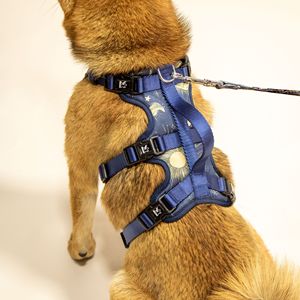 Ensemble d'accessoires pour animaux de compagnie Echo Kopai K Series avec imprimé lune et étoiles : harnais, laisse, collier, bavoir et vêtements pour chien - Product Image 1