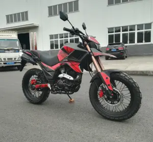 Китай, 125cc 200cc 250cc EEC мотоциклы FUEGO TEKKEN250 FUEGO, мотоцикл, дешево на продажу 1119019