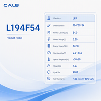 Batterie CALB L194F54 54Ah LiFePO4 3.2V 4C à charge rapide, pour chariots de golf, motos électriques, multi-usages, grade A