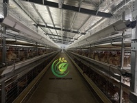Nouvelle cage à poules pondeuses entièrement automatique de type H, galvanisée à chaud, anti-corrosion, pour 40 000 oiseaux, avec une durée de vie de 20 ans