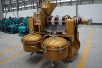 Presse à huile automatique commerciale de haute qualité YZLXQ120 pour l'extraction d'huile de graines noires, d'arachides, de colza et de soja pour la cuisson