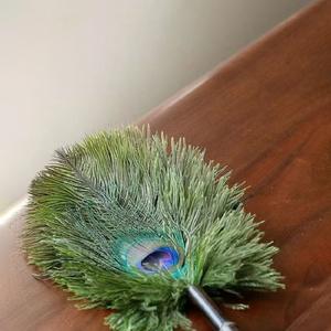 <span class=keywords><strong>Plumeau</strong></span> en plumes de paon <span class=keywords><strong>vert</strong></span> naturel réutilisable, écologique et économique pour le nettoyage de la maison et de la voiture - Product Image 5