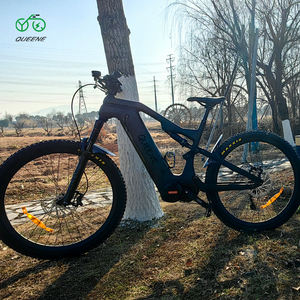 QUEENE 29inch Full Suspension <strong>Ebike</strong> <strong>Frame</strong> Carbon Electric Bike E Bike <strong>Frame</strong> Bicycle <strong>Frame</strong> M620 Electric Mountain Bike Carbon Fib - Product Image 6