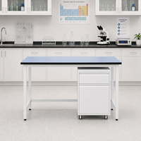 Mesa de Laboratorio con Fregadero, Salida de Gas y Lavaojos, Muebles Modulares de Acero, Tamaño Personalizado para Laboratorio de Química Escolar