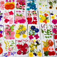 INTODIY – fleurs séchées pressées en vrac, paquet mixte de vraies feuilles de fleurs sèches fraîches, plante pour résine, Nail Art fait à la main