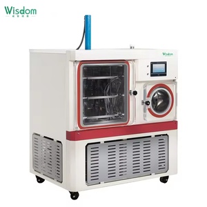 WISDOM <span class=keywords><strong>Poilt</strong></span> Square 30KG/20KG Máquina liofilizadora al vacío de laboratorio Liofilizador/Gefriertrockner para uso en laboratorio - Product Image 2
